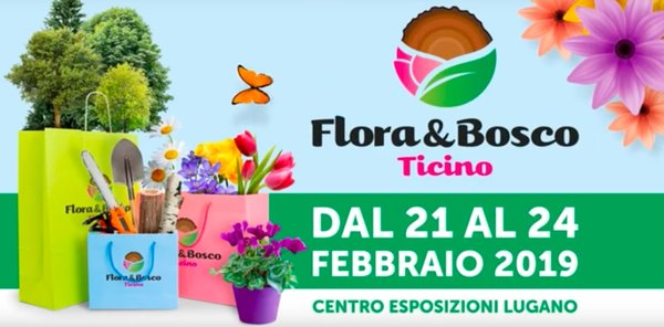 Flora bosco 2019