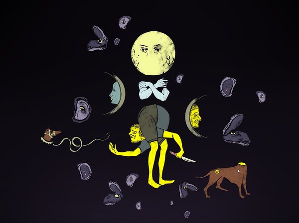 Il cane la notte e il coltello
