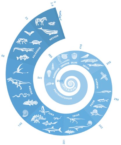 Evoluzione