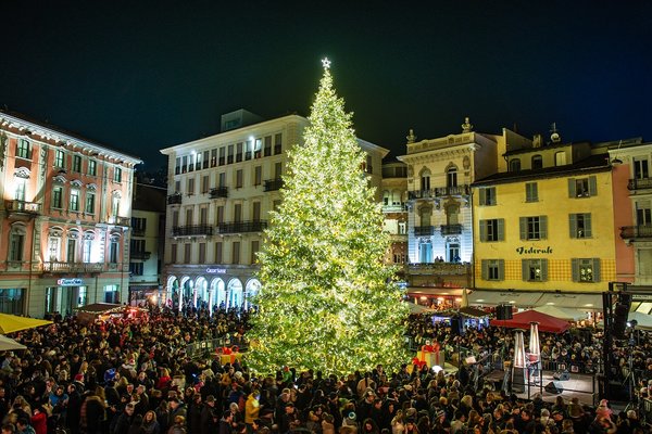 Albero piazza