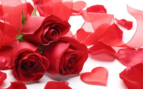 Roses 2013498 1280