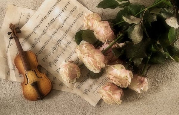 Violin 2946996 340