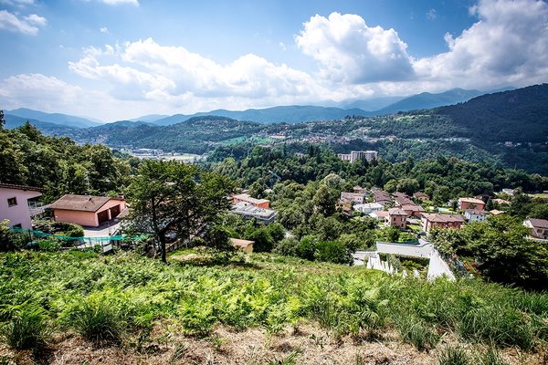Numeri davesco soragno