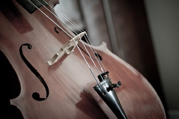 Cello 110981 960 720