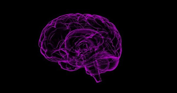 Brain 1787622 340