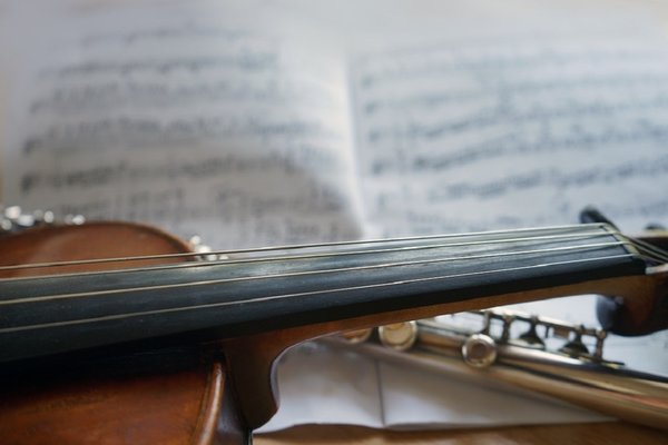 Violin 3621667 960 720