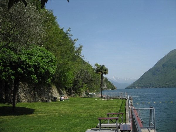 Copia di san domenico