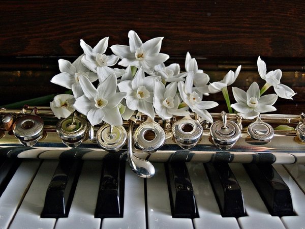 Piano 1399926 960 720