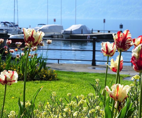 Locarno 3574452 1280