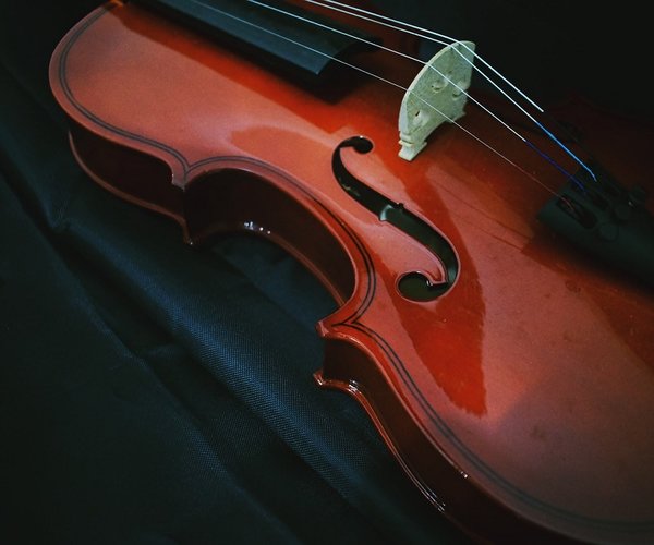 Violin 3577816 1280