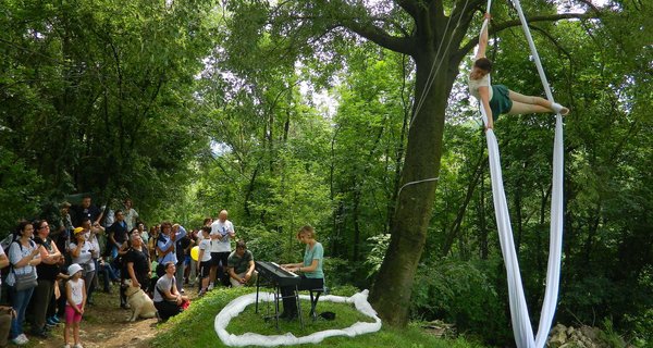 Percorso botanico radici aeree