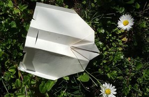 Vola con la fantasia 1