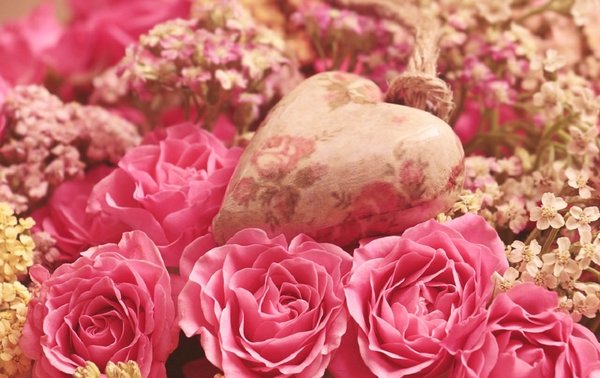 Roses 3699995 960 720