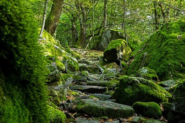 Trail 3717450 340