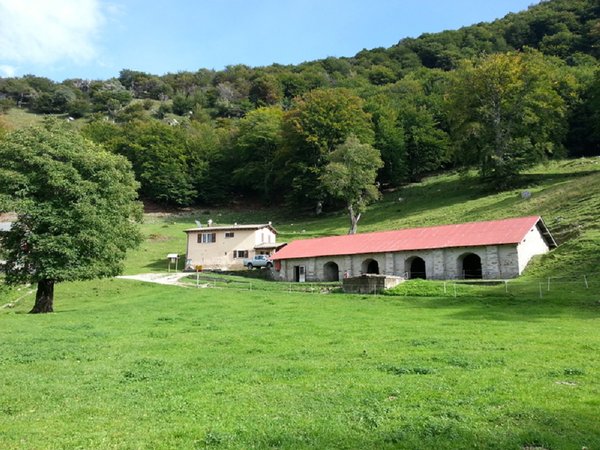 Alpe bolla