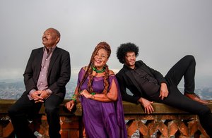 Toko telo 2018 bir images 6