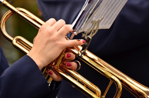 Trumpet 3303724