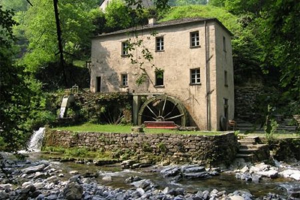 Bruzzela