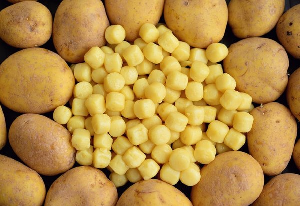 Gnocchi 3190639 960 720
