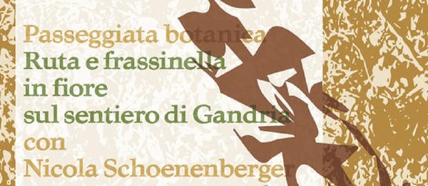 Passeggiatabotanica26maggio bottegagandriaschoenenberger