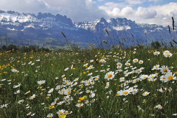 The alps 4209272 1280