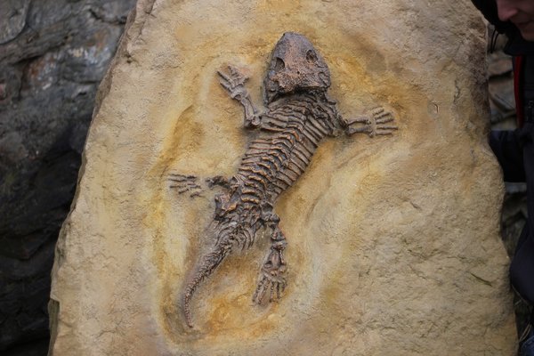 Fossils 255547 1280
