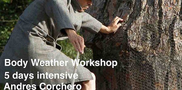 5d06567bc1c37 foto body weather workshop