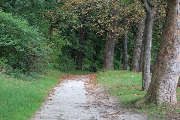 Path 2652067 960 720