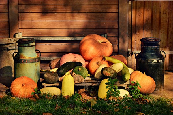 Pumpkin 3775726 1280