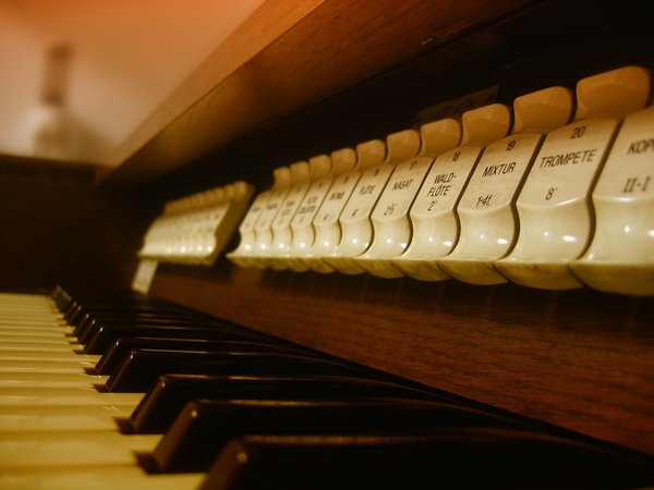 Organ 70601 1280