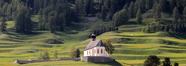 Mountain meadow 3593319 1280