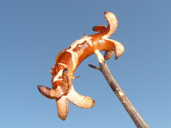 Bratwurst 10427 1280