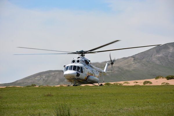 Fly 4328153 1280