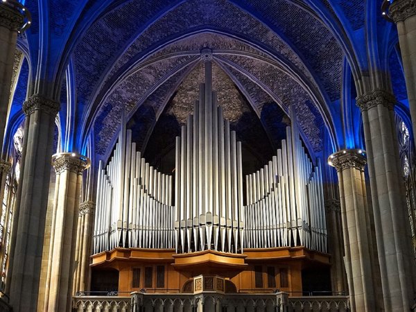 Organ 3691812 960 720