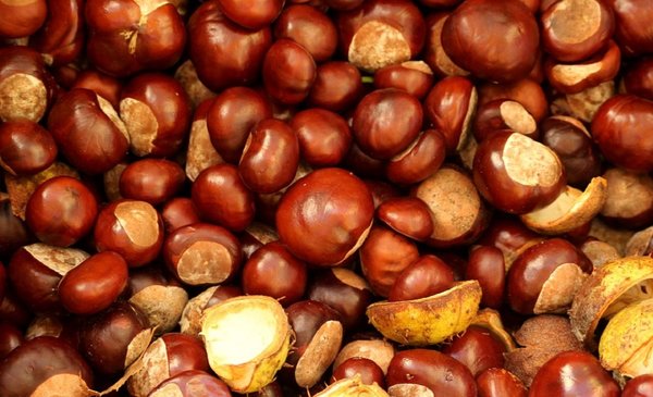 Chestnuts 3730932 960 720