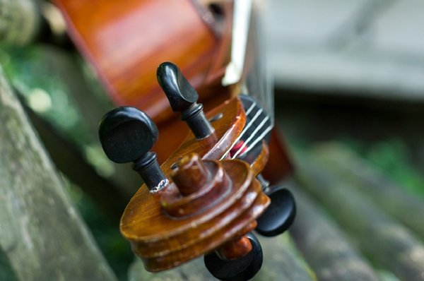 Violoncello 2612371 960 720