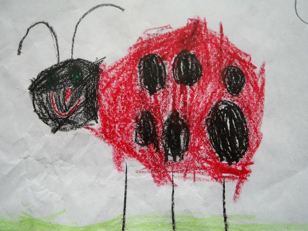 Ladybug 75452 1280