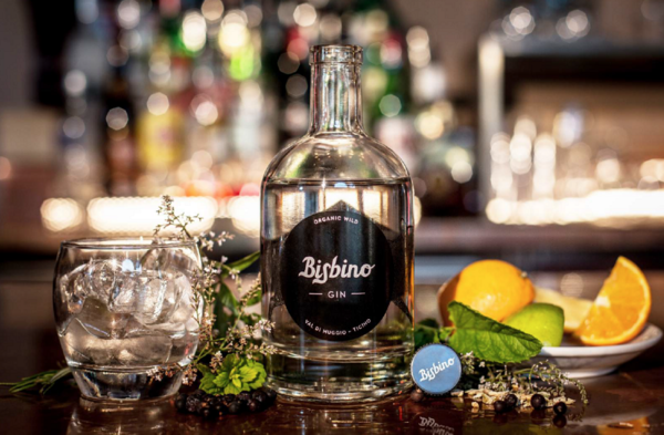 Gin