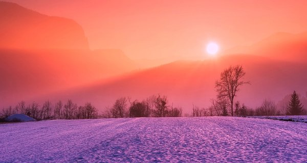 Winter