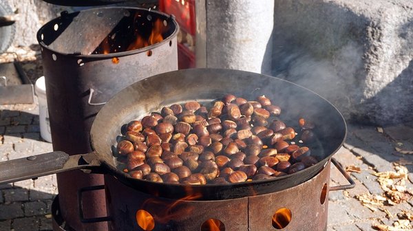 Chestnut 3757271 1280