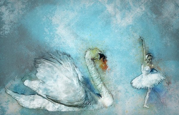 Cigno