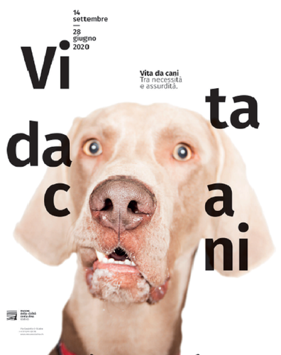 Cane