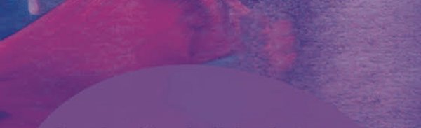 Dlrt teaser