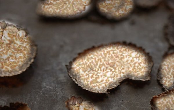 Tartufo