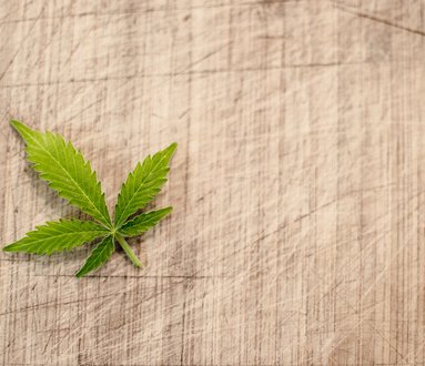 Hempatia