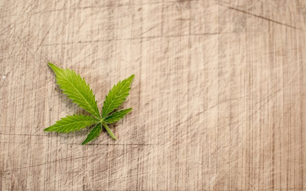 Marijuana 3065621 1280