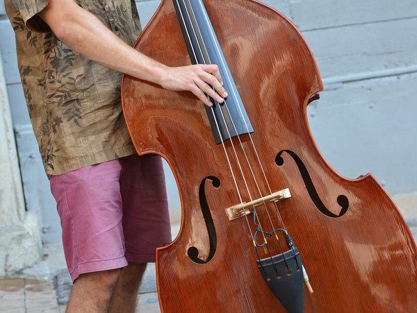 Musician 3864318 1280