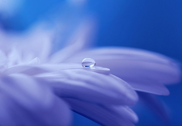 Drop of water 571956 1280