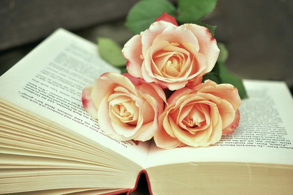 Book 1771073 1280