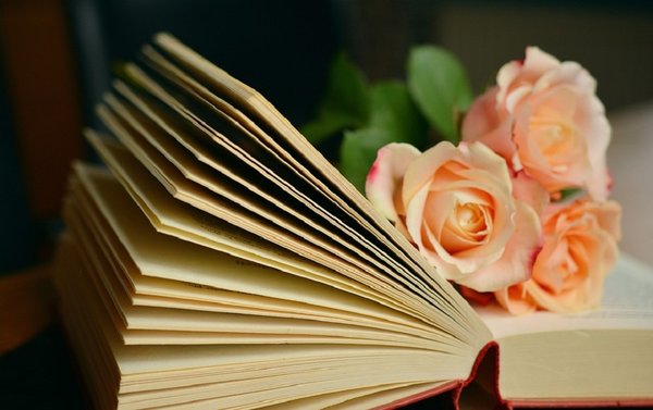 Book 1769228 960 720